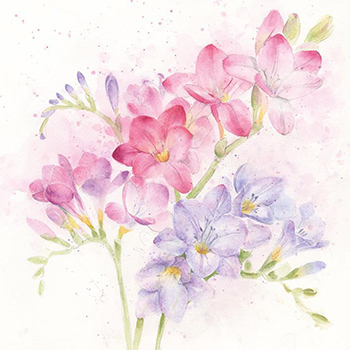 Card Freesia